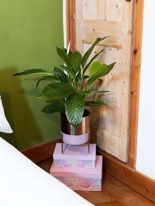 Cosy Cottage In Central Reading Free Parking & Fast Wifi Екстериор снимка